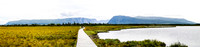 Boardwalk at Western Brook Pond