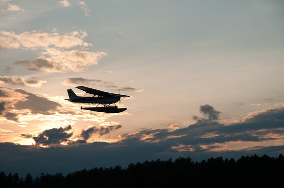 Sunset Flight