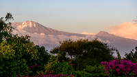 Mt. Kilimanjaro