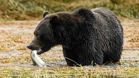 Lunch is served