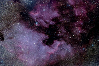 NGC 7000 North American Nebula