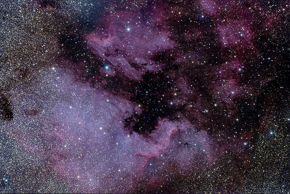 NGC 7000 North American Nebula