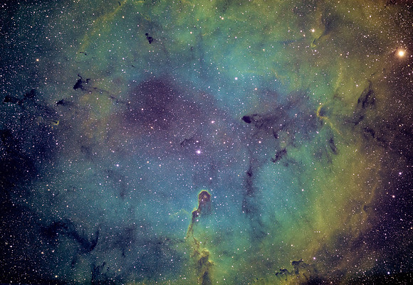 IC 1396 Elephant Nebula